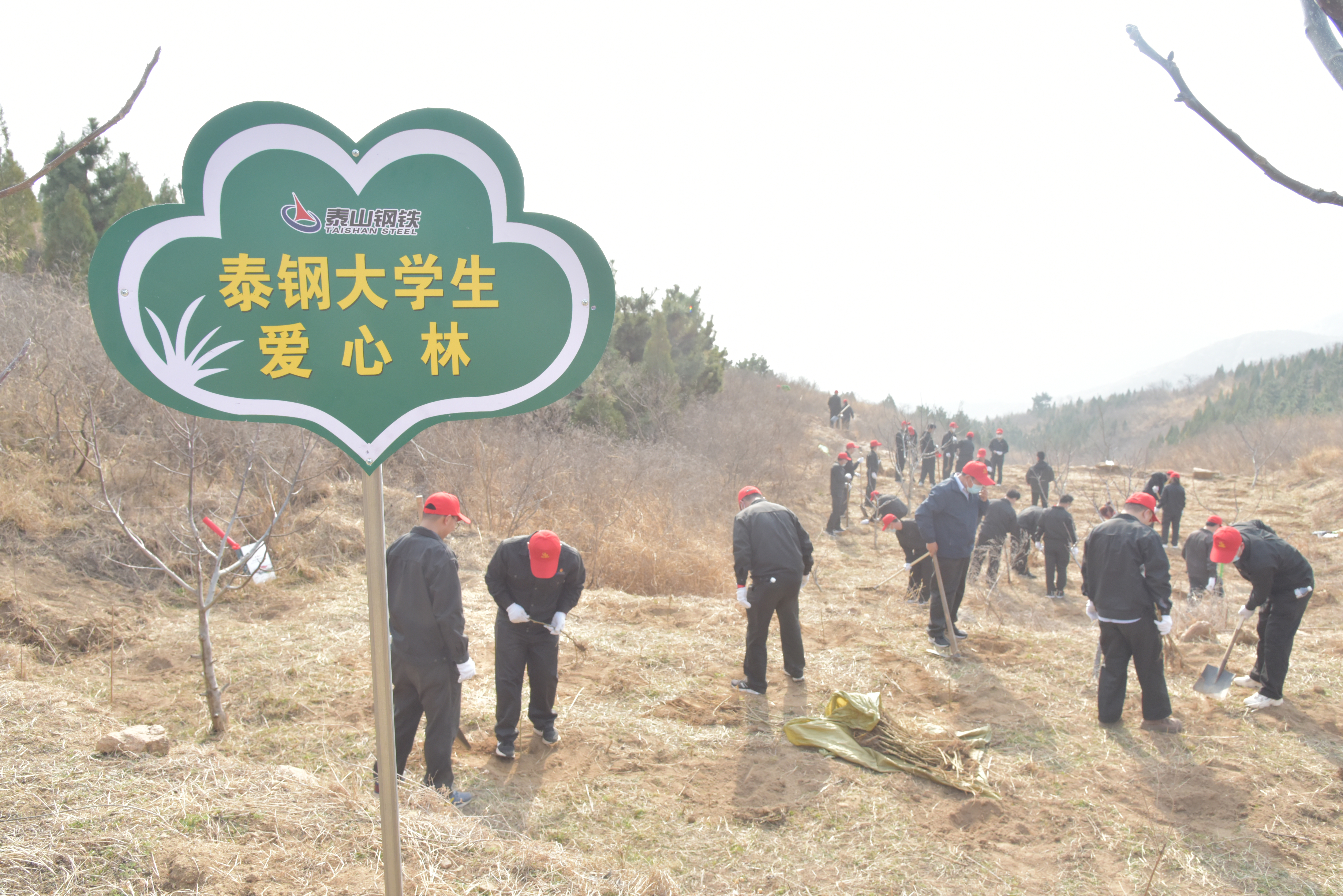 泰鋼大學生植愛心林